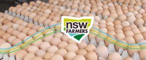 NSW Farmers Egg Section  2026 Annual General Meeting>